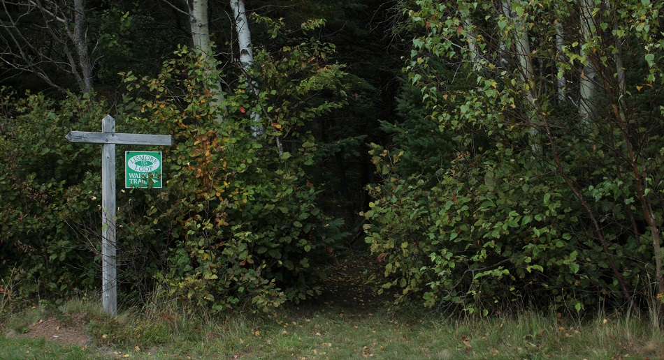 lismore loop 1.jpg